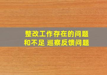 整改工作存在的问题和不足 巡察反馈问题